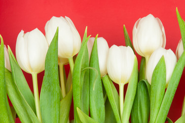 Similar image 777022