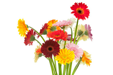 Similar image 777023