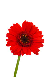 Similar image 777026