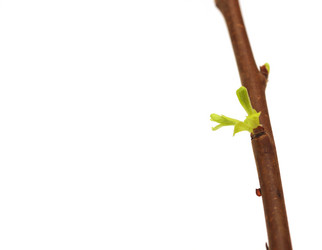 Similar image 777042