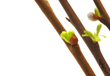 Similar image 777044