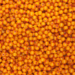 Similar image 777049