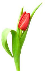 Similar image 777052