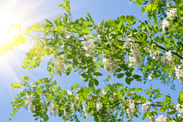 Similar image 777056