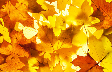 Similar image 777059