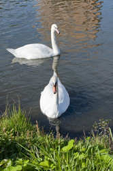 Similar image 777060