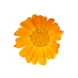 Similar image 777061