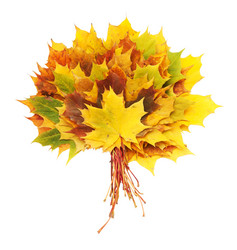 Similar image 777063