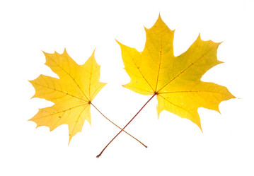 Similar image 777064