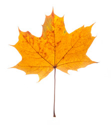 Similar image 777065