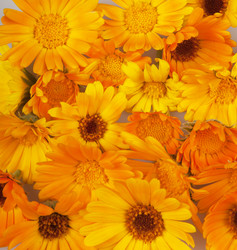 Similar image 777068