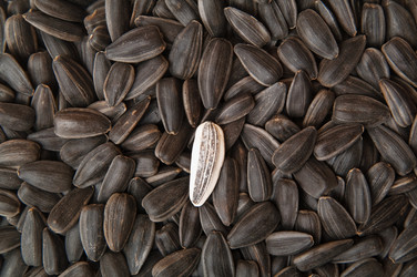 Similar image 777086