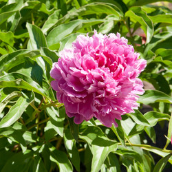 Similar image 777088