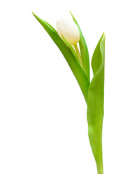 Similar image 777092