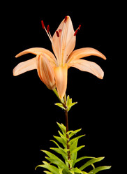 Similar image 777093