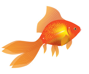 Similar image 777098