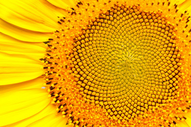 Similar image 777099