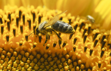 Similar image 777105