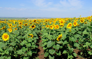 Similar image 777112