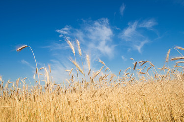 Similar image 777113