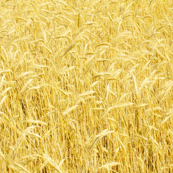 Similar image 777116