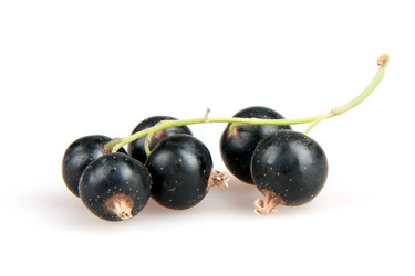 Similar image 777135