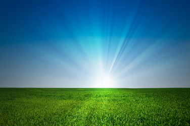 Similar image 777137