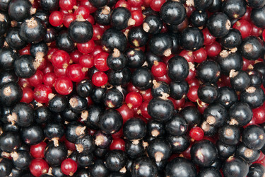 Similar image 777148