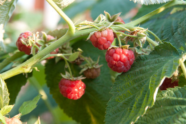 Similar image 777165