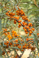 Similar image 777167