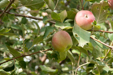 Similar image 777169