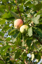 Similar image 777170