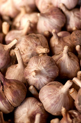 Similar image 777176