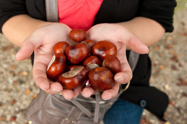 Similar image 777179