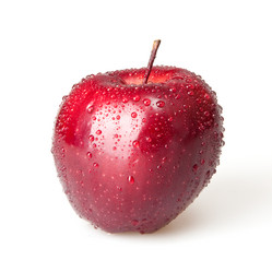 Similar image 777180