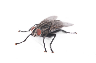 Similar image 777196