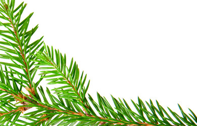 Similar image 777208