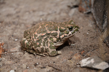 Similar image 777212