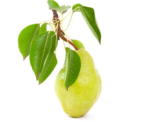 Similar image 777272