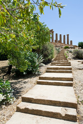 Similar image 777274