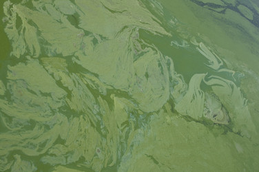 Similar image 777277