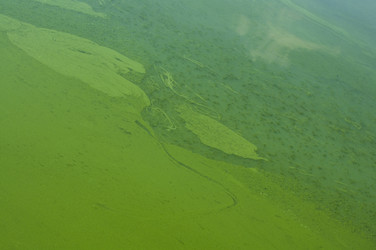 Similar image 777282