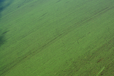 Similar image 777285