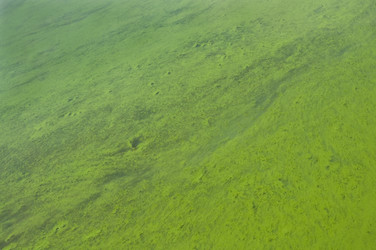 Similar image 777288