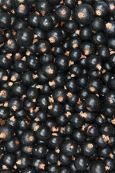 Similar image 777338