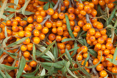 Similar image 777344