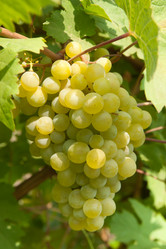 Similar image 777347