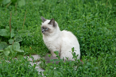 Similar image 777366