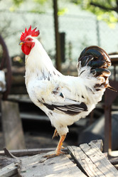 Similar image 777404