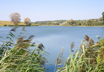 Similar image 777420